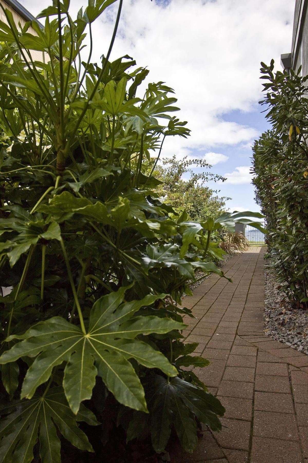 Clearwater Motor Lodge Lago Lago Taupo Esterno foto
